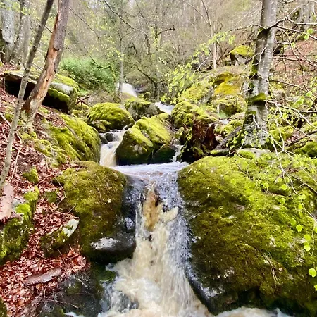 Le 1830 Holiday home Eglisolles